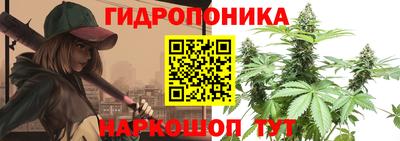 крисы Конаково