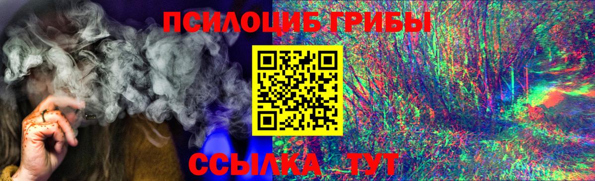 где купить наркоту  Галлюциногенные грибы Cubensis  Вход с VPN  Качканар 