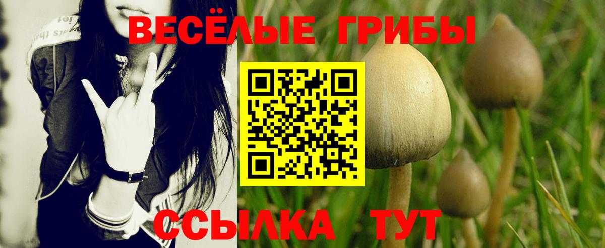 Псилоцибиновые грибы Magic Shrooms Качканар